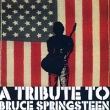 A Tribute To Bruce Springsteen Формат: Audio CD (Jewel Case) Дистрибьюторы: Cherry Red Records, Концерн "Группа Союз" Великобритания Лицензионные товары Характеристики аудионосителей 2003 г Сборник: Импортное издание инфо 820f.